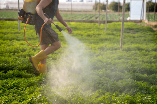 Best Best Pest Control Companies  in Dayton, OR