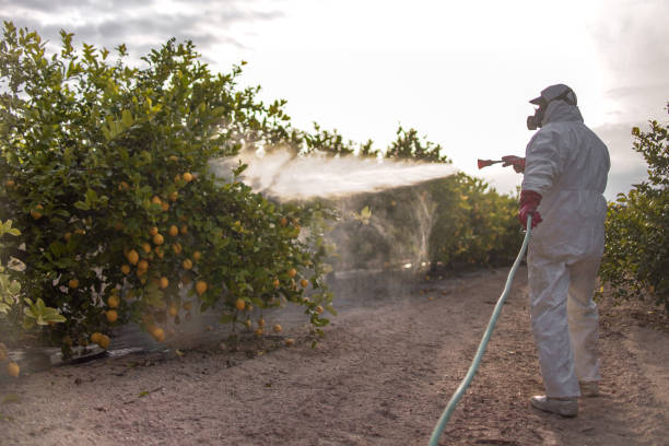 Trusted Dayton, OR Pest Control Experts