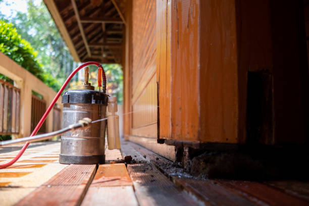 Best Affordable Pest Control Services  in Dayton, OR