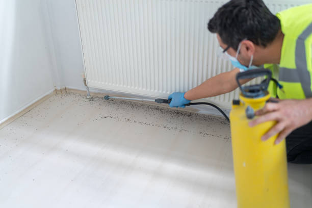 Best Pest Control Cost  in Dayton, OR