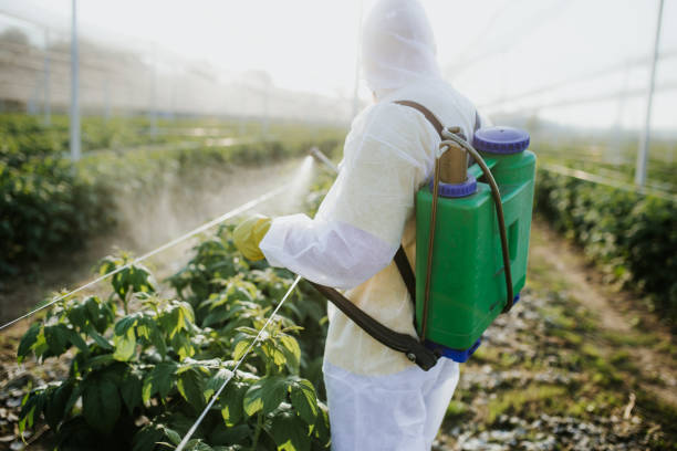 Best Bed Bug Extermination  in Dayton, OR
